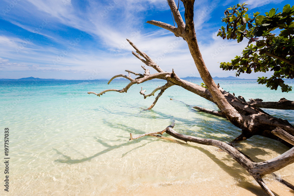 Tropical landscape of Koh Kradan