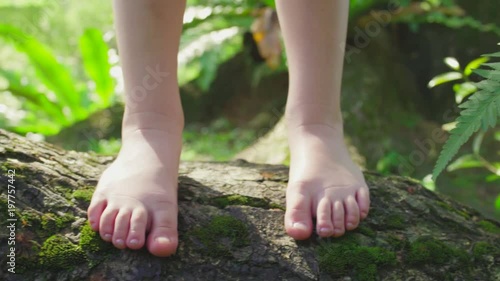 Child stands barefoot on moss on a lying tree. Close up on feet.