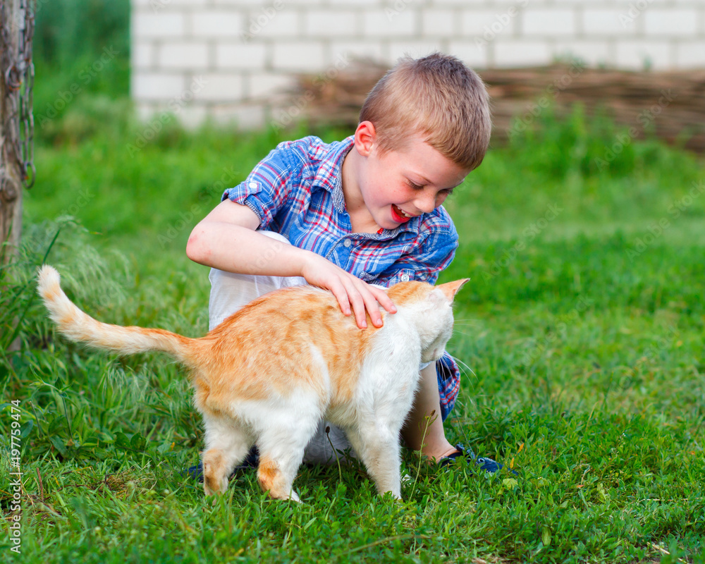 smiling little boy in checkered shirt plays with a red cat smiling little boy in checkered shirt plays with a red cat