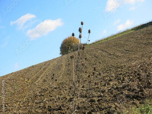 paysage grimpant