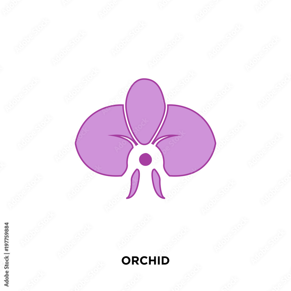 orchid icon isolated on white background for your web, mobile and app design orchid icon isolated on white background for your web, mobile and app design