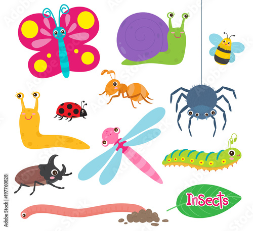 Insects are small animals set.