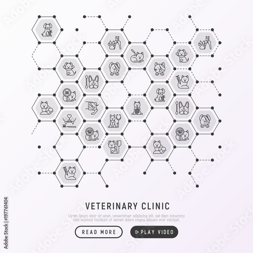 Veterinary clinic concept in honeycombs with thin line icons: broken leg, protective collar, injection, cardiology, cleaning of ears, teeth, shearing claws, bandage on eye. Vector illustration.