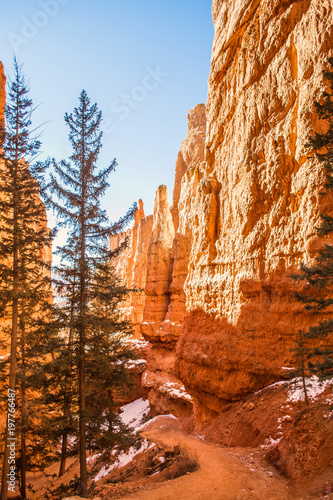 Red-yellow rocks in Bryce Canyon. Panorama of the mountain massif. A tourist place, a stone forest.