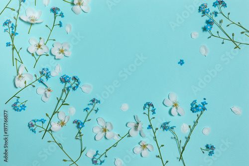 Spring aqua blue background with white blooming apple and forget-me-not flowers  close-up top view  horizontal composition  top flat view with empty place for text