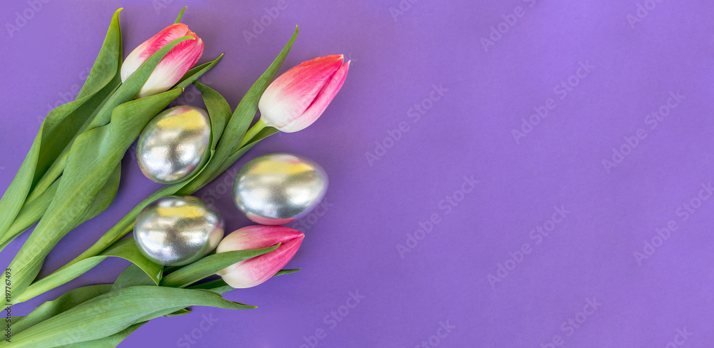 Tulips with silver eggs on purple background, Easter