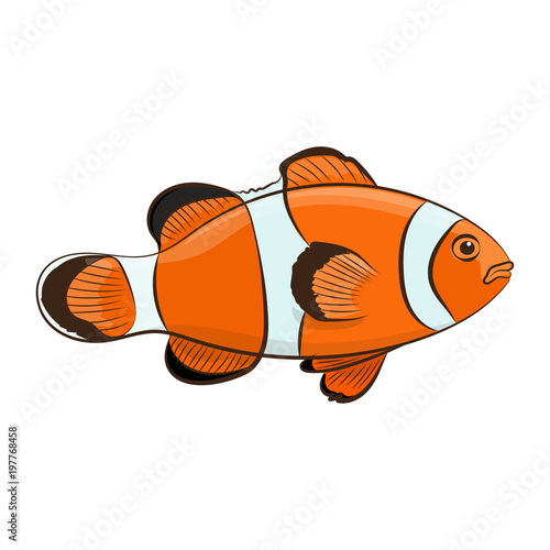 Clown fish. Vector illustration. 