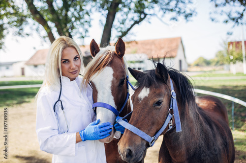Veterinarian with horses outdoors at ranch. 