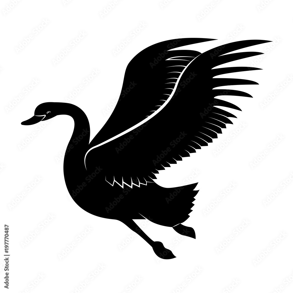 Vector image of a silhouette of a bird swan Vector image of a silhouette of a bird swan