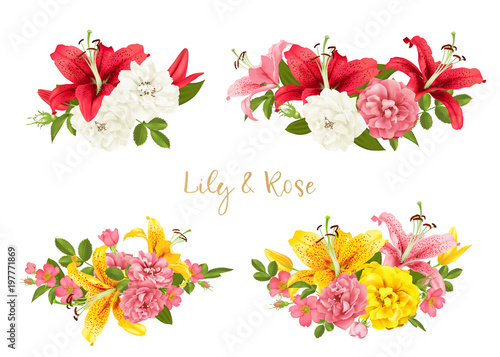 rose and lily set. vector card.