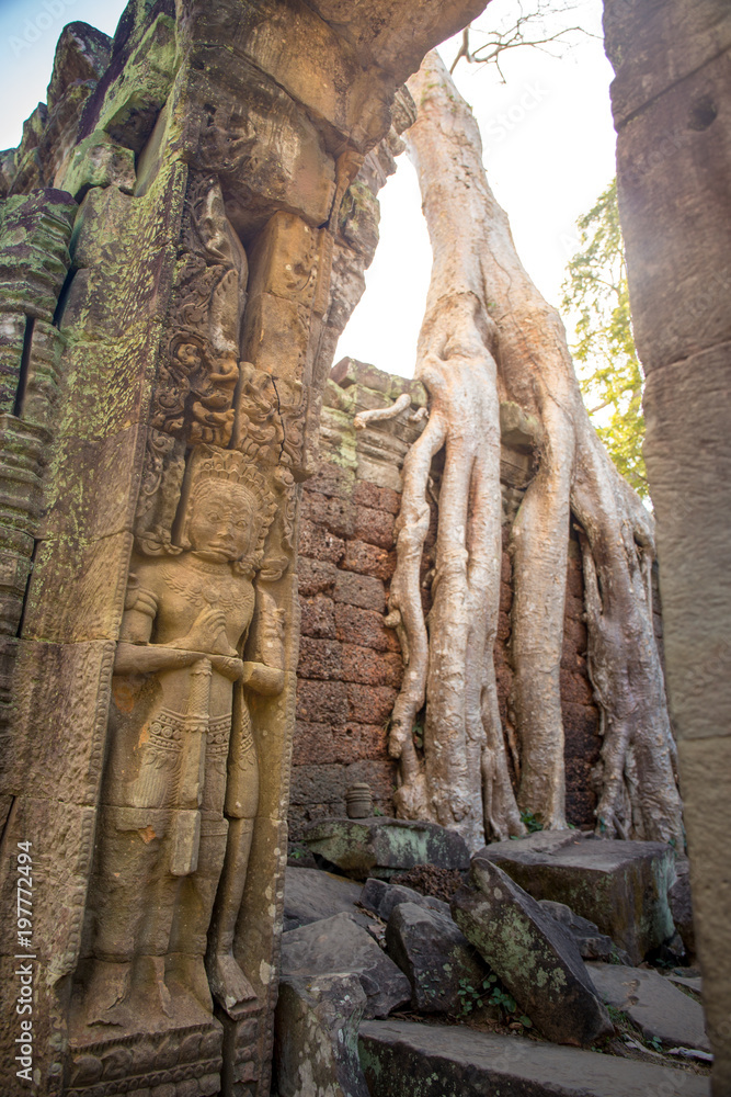 carving of giant for entrance guard with tree root background at Preah Khan the stone temple in Angkor, Siem Reap , Cambodia