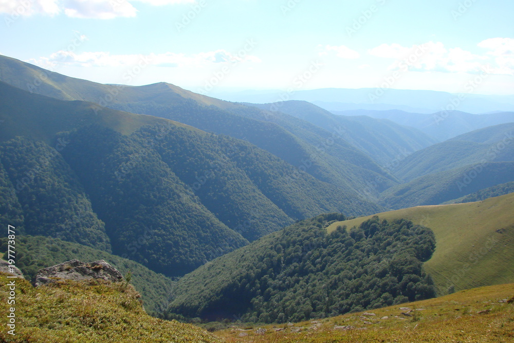 Panorama of mountain forests on the slopes of the Carpathians on the background of the summer blue sky.