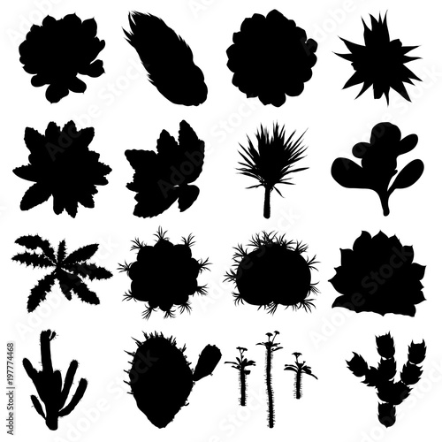Black silhouettes of cactus  agave  aloe  and prickly pear. Cacti set. Vector.