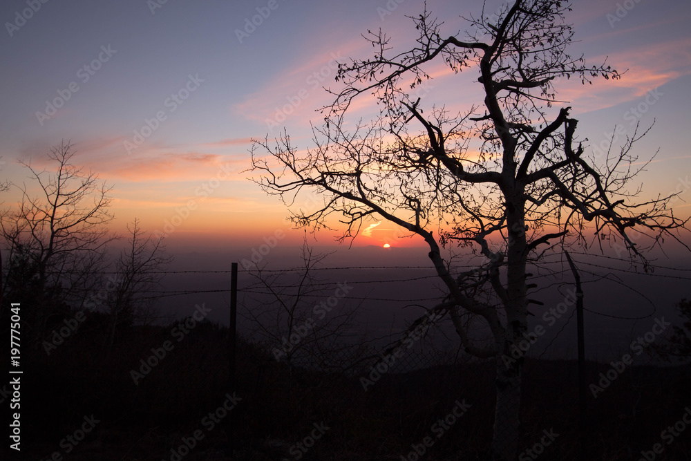 Fototapeta premium Sunset from Mt. Lemon Arizona