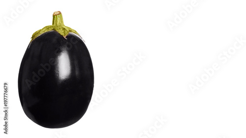 purple fresh organic eggplant isolated on white background. copy space, template
