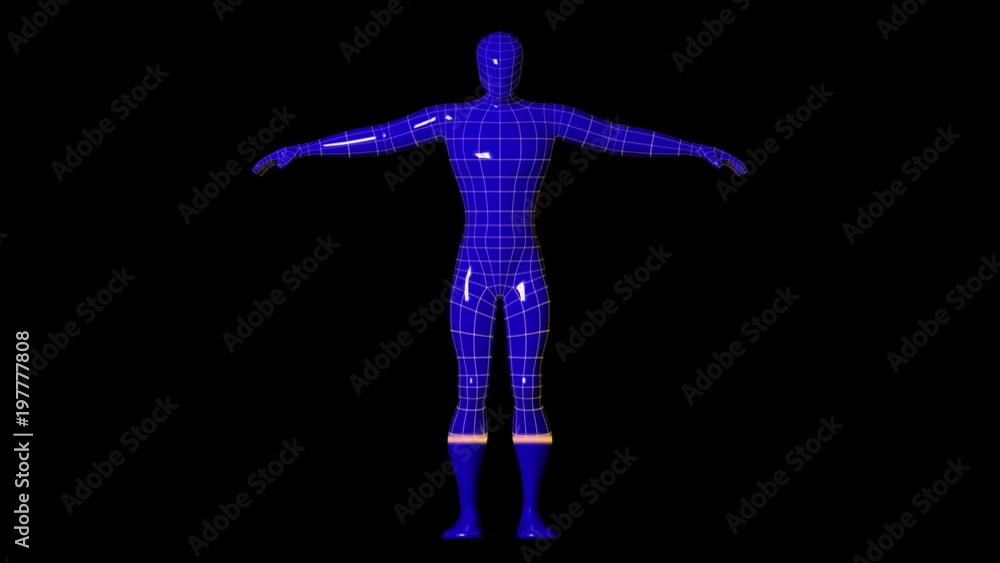 Wireframe human figure being scanned with a laser light. Cybersecurity and biometrics authentication concept. tech background Wireframe human figure being scanned with a laser light. Cybersecurity and biometrics authentication concept. tech background