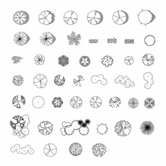 Canvas schilderij Wit Top view and side view, set of graphics trees elements outline symbol for architecture and landscape design drawing. Vector illustration  © sirintra