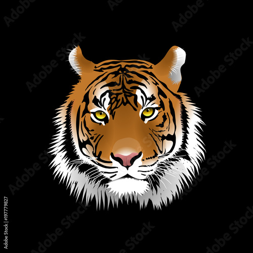 Tiger head on a black background