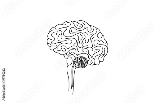 Drawing of  a brain stem, vector illustration.