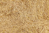 straw, dry straw, hay straw yellow background texture