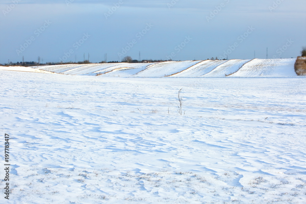 Naklejka premium Winter landscapes in depopulated fields and forests and roads of Eastern Europe.