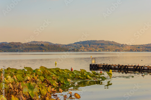 view of the lake of viverone in italy  / Lake Viverone is the third largest lake in Piedmont in Italy , It is a lake of glacial origin,and an important fish and tourist resource