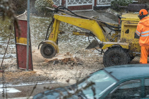 A stump is shredded with a stump cutter. Surrounding shavings are held up by a barrier. Concept: forestry or construction site
