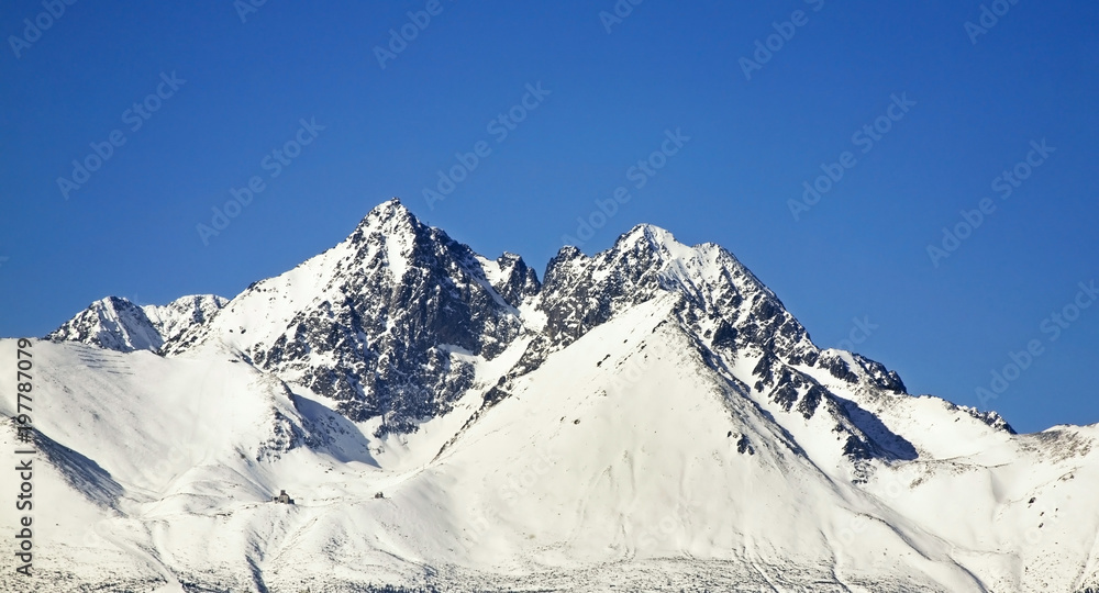 Obraz premium High tatras near Stary Smokovec. Slovakia