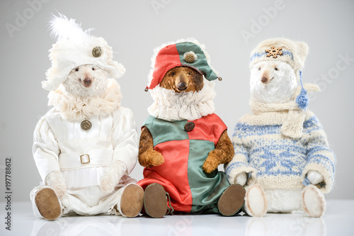 Woolen bears jester carnival sweater hat scarf toy © antondotsenko