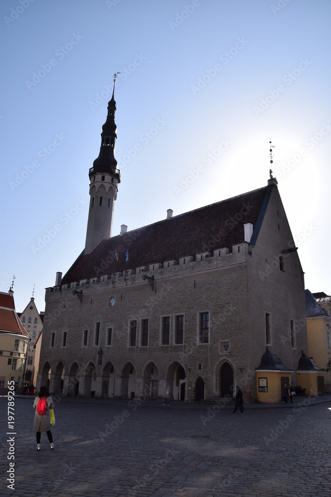 Obraz premium tallinn old city mediavel town hall