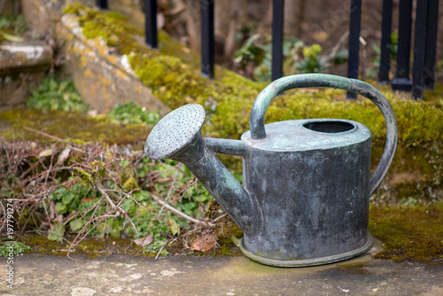 close up of vintage metal watering can with moss and plants in background
