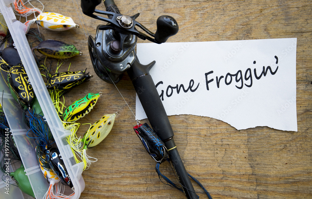 Hollow body frogs for bass fishing Stock Photo