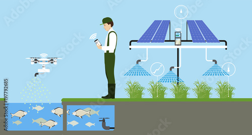 Growing plants on the field. Smart farm with wireless control. Eco farm with aquaponics system and irrigation system. Technology in agricultere. Vector illustration.