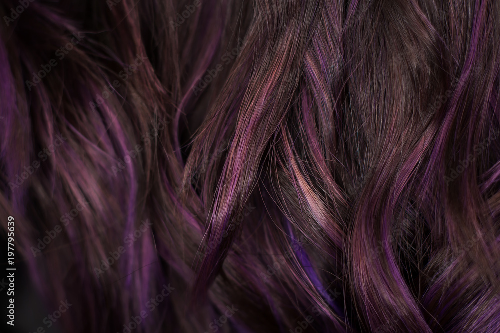 Naklejka premium Beautiful curvy violet and black hair. I photographed in the beauty salon during the work of the stylist. Stunning texture and wallpaper hair. Hair Background