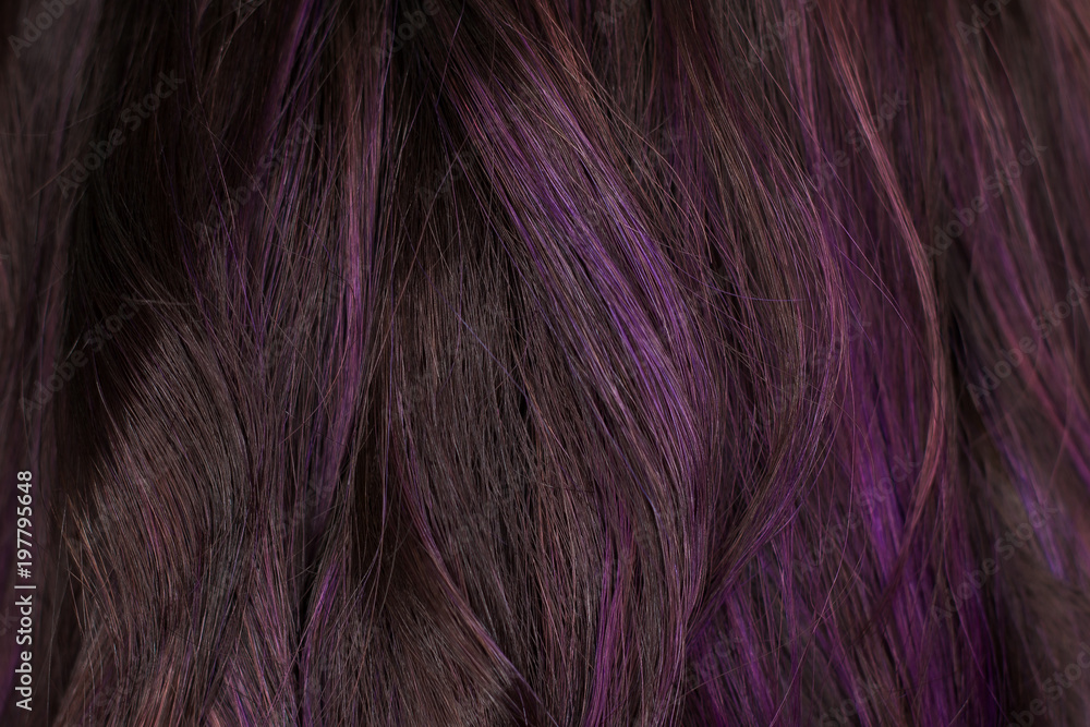 Naklejka premium Beautiful curvy violet and black hair. I photographed in the beauty salon during the work of the stylist. Stunning texture and wallpaper hair. Hair Background