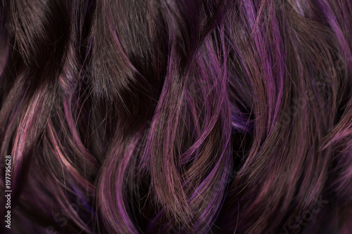 Beautiful curvy violet and black hair. I photographed in the beauty salon during the work of the stylist. Stunning texture and wallpaper hair. Hair Background