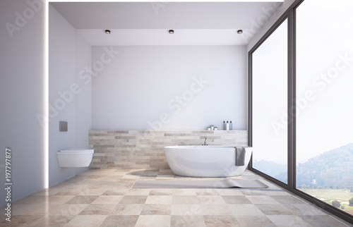 Panoramic white bathroom  a toilet