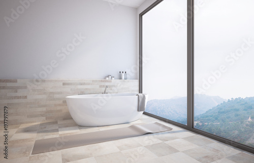 Panoramic white bathroom corner