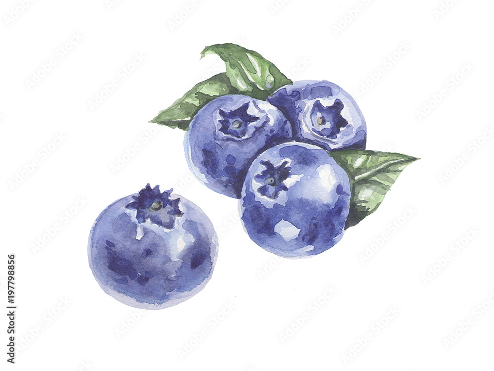 A bunch of berries. Blueberies. Watercolor - obrazy, fototapety, plakaty 