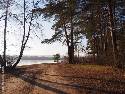 A cold sunny day photo