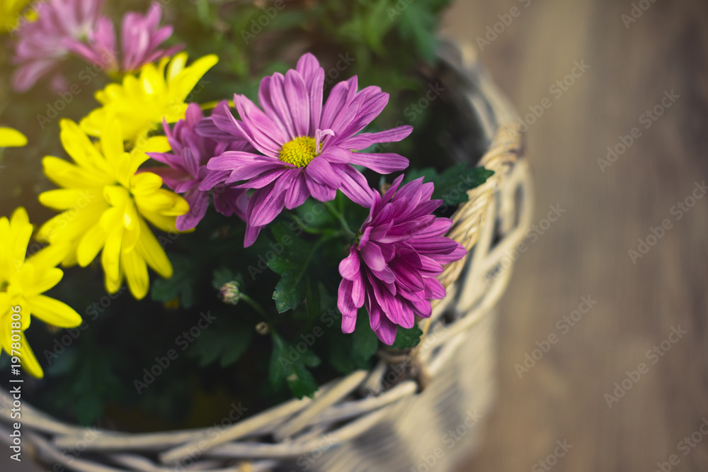 Wooden basket on floor with colourful flowers Wooden basket on floor with colourful flowers