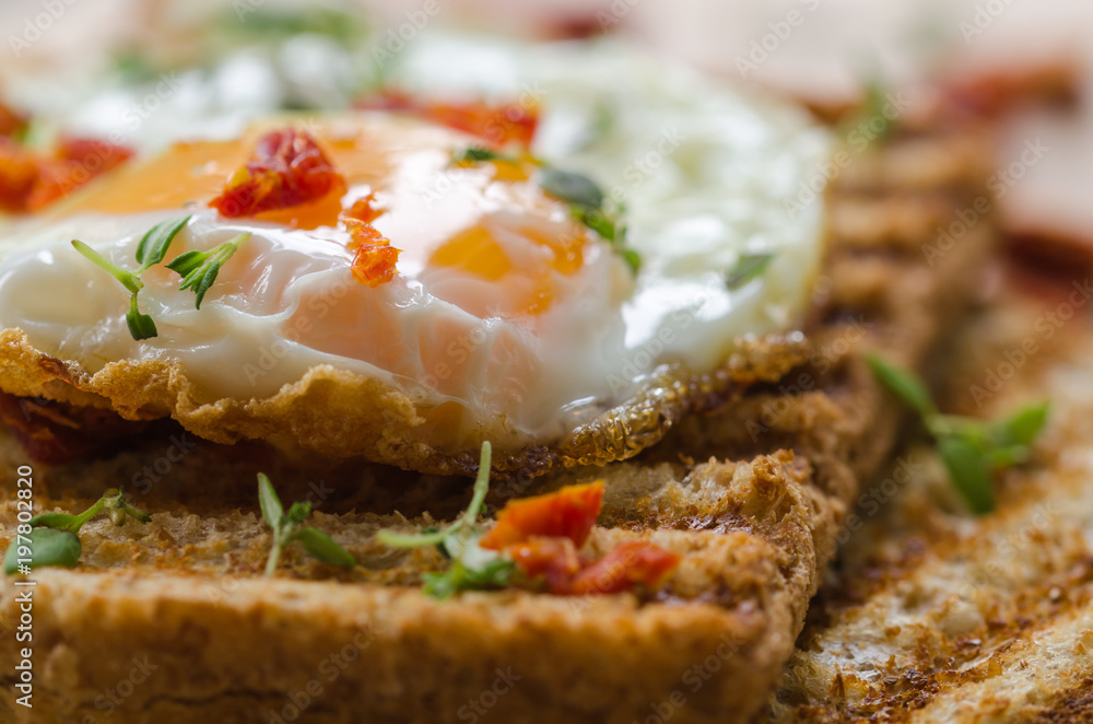 Eggs and fried wholemeal bread, breakfast. Eggs and fried wholemeal bread, breakfast.