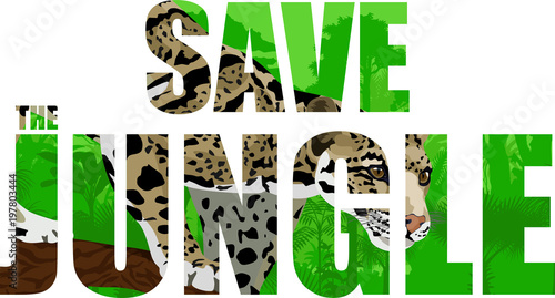 Vector tropical rainforest illustration with clouded leopard