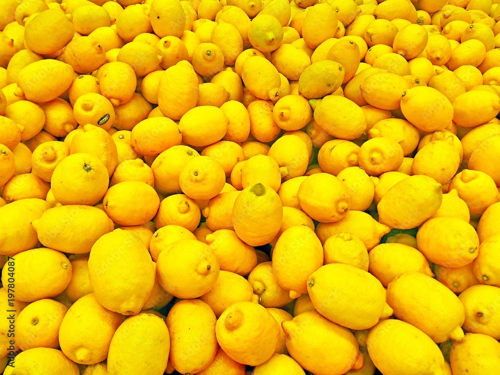 Mountain of yellow lemons