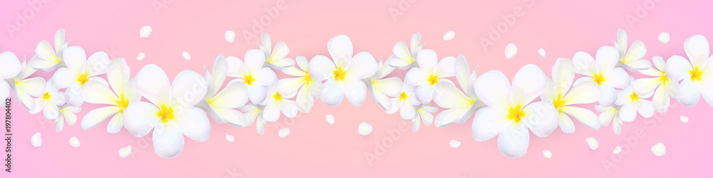 Vector seamless frangipani flowers horizontal border with flying petals on pink background