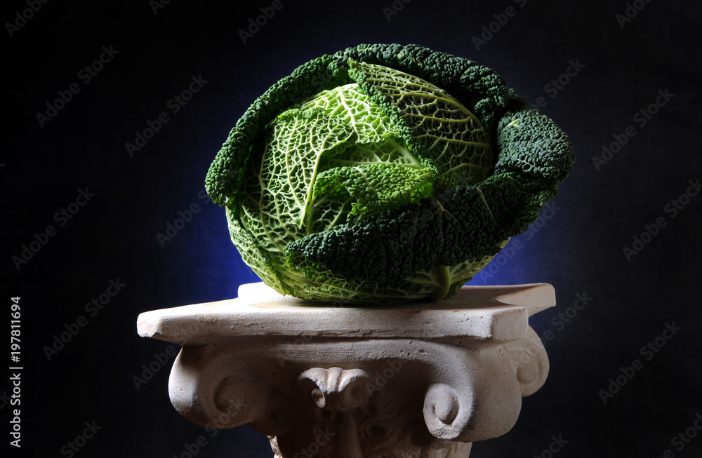 Cavolo selvatico - Brassica oleracea Foto stock