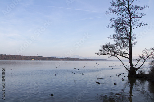 Starnberger See photo