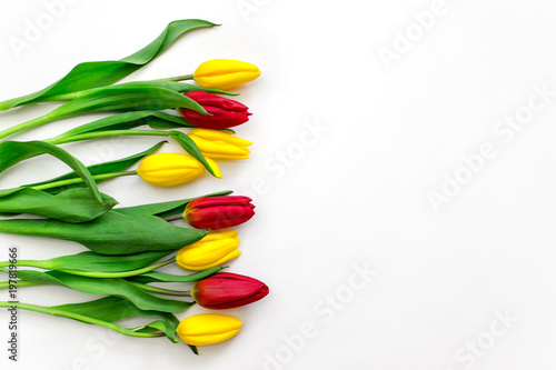 Bouquet of yellow and red tulips arranged on the left on white background with copy blank space on the right. Template for greeting cards.