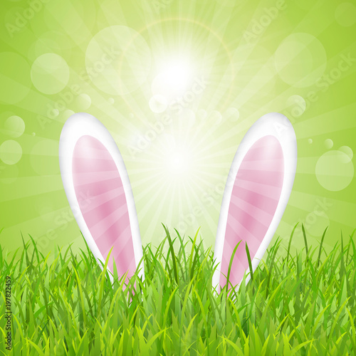 Easter bunny ears nestled in grass