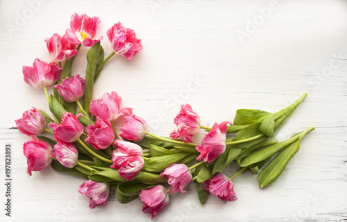 Букет тюльпанов на белом фоне